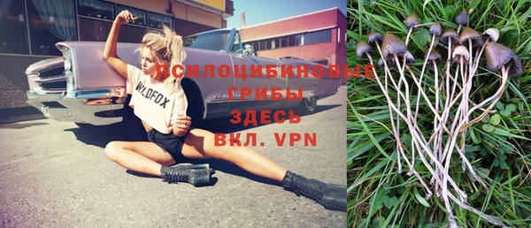 a pvp Снежинск