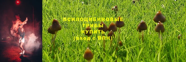 гашик Слюдянка