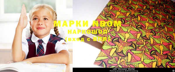 гашик Слюдянка
