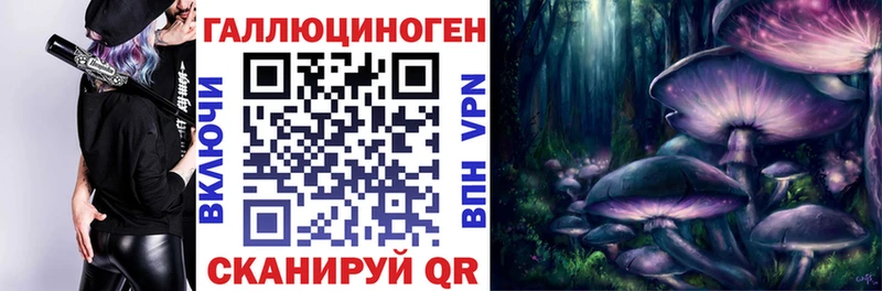 KRAKEN как войти Углегорск Псилоцибиновые грибы Magic Shrooms